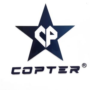 Company icon