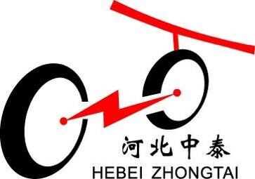 Hebei Zhongtai Bicycle Manufacturing Co., Ltd. logo