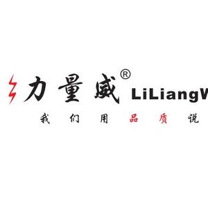 Company icon