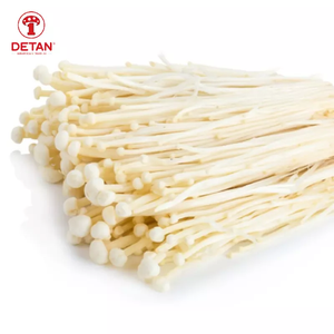 Detan Fresh Enoki Export Needle Mushroom Jamur Flammulina velutipes For Sale