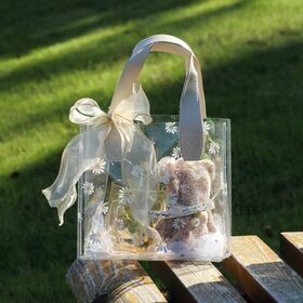 Transparent PVC Gift Bags with Hale  Reusable Plastic Bags for Bridal Party Baby Shower Wedding Birthday Shopping Bag