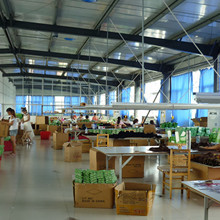 Taihe Lifa Hair Products Co., Ltd. factory image 2
