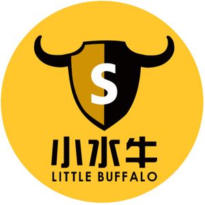 Company icon