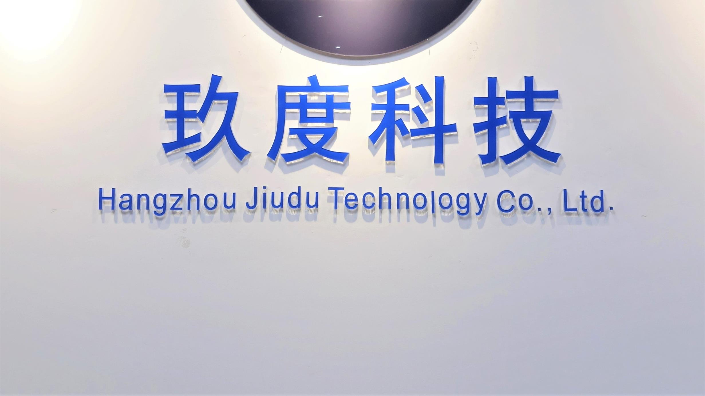 Hangzhou Jiudu Technology Co., Ltd. Memory Foam Pillow