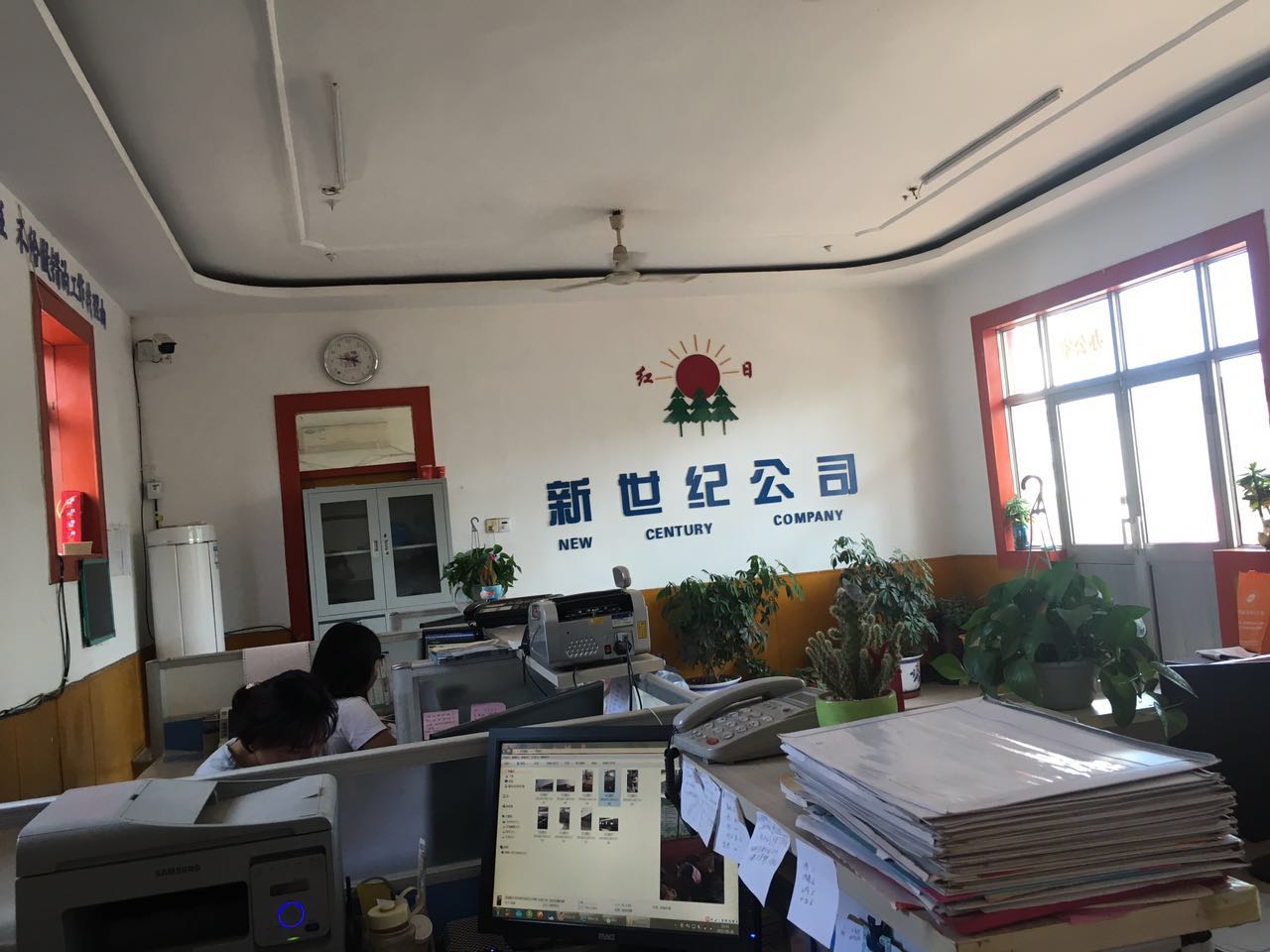 Hengshui New Century Medical Devices Co., Ltd. Electric Nursing Bed