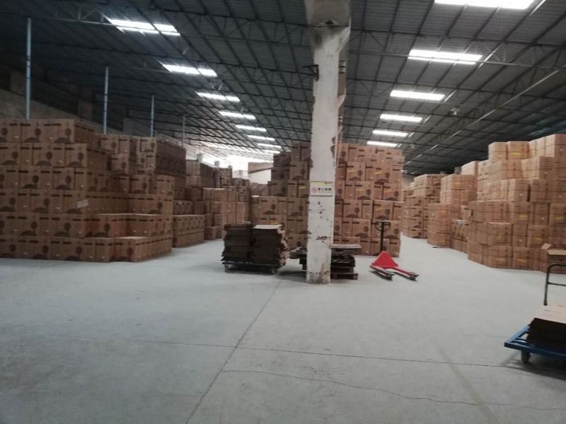 Gold Home Appliance Co., Ltd. factory image 2