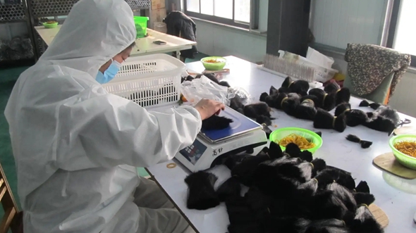 Xuchang Faqi Crafts Co., Ltd. Full Lace Wigs