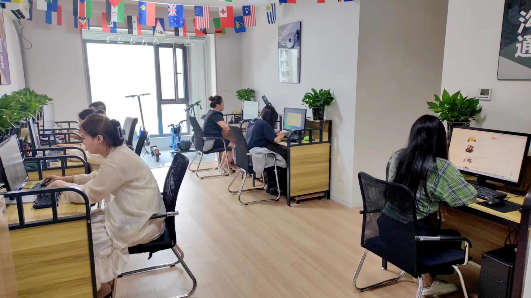 Hebei Leshuai Cycle Co., Ltd. Electric Scooter