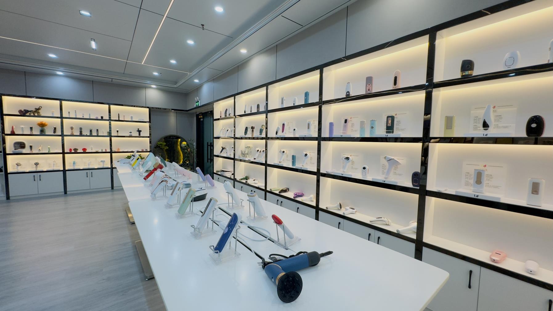 Dongguan Lide Electric Appliance Co., Ltd. RF Beauty Device