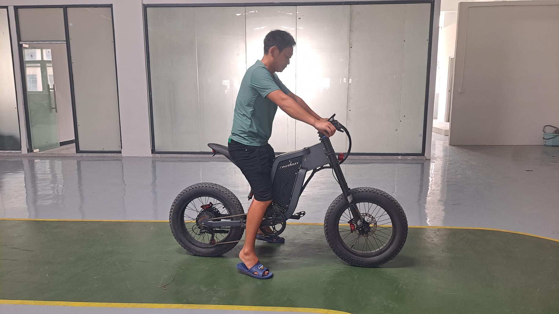 Weifang Fine Rain Industry Co., Ltd. Electric bike
