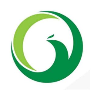 Company icon