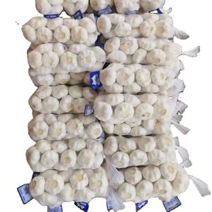 Fresh Ginger 10kg/carton High Quantity ginger price per kilogram export standard Vietnam 2024
