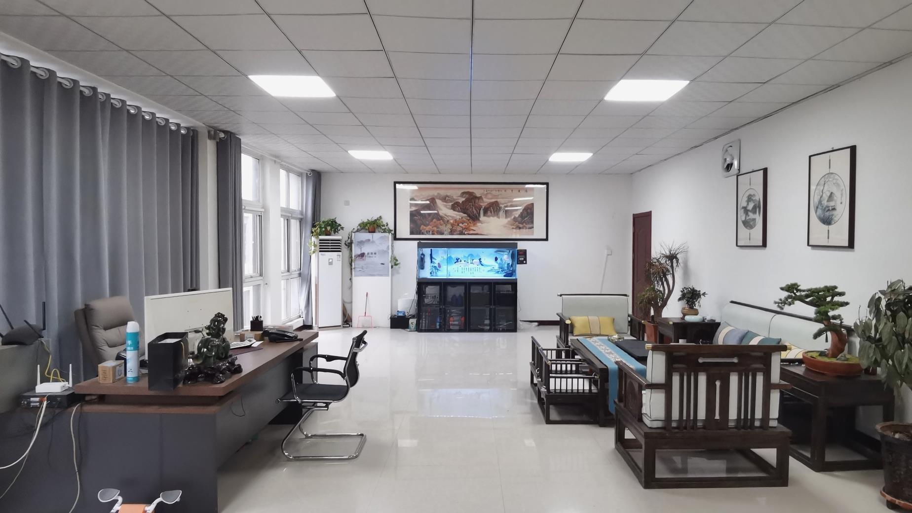 Hebei Ruihongsheng Technology Co., Ltd. Baby bouncer chairs
