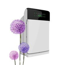 Wholesale Portable Personal Ionizer Air Purifier With CE Certificate