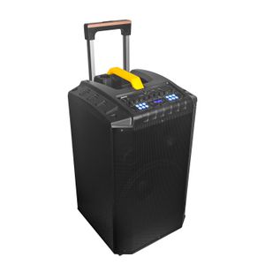 Temeisheng New single 12 inch Trolley portable Box wireless Bluetooth Speakers party DJ Karaoke speaker & horn With Microphone