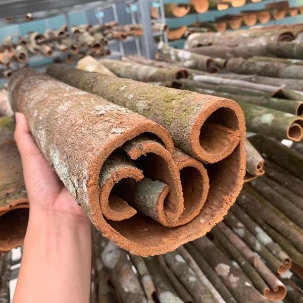 Tube Cassia Good Quality Best Price For Sale Spices And Herbs Cassia Cinnamon Origin Vietnam Whole Tube Cassia