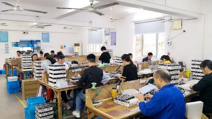 Wenzhou Evernew Trading Co., Ltd. Cat Toys