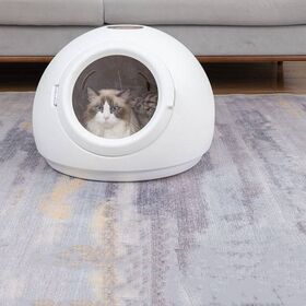 Popular Pet Hair Dryer with Low Noise and Big Capacity Automatic Pet Drying box