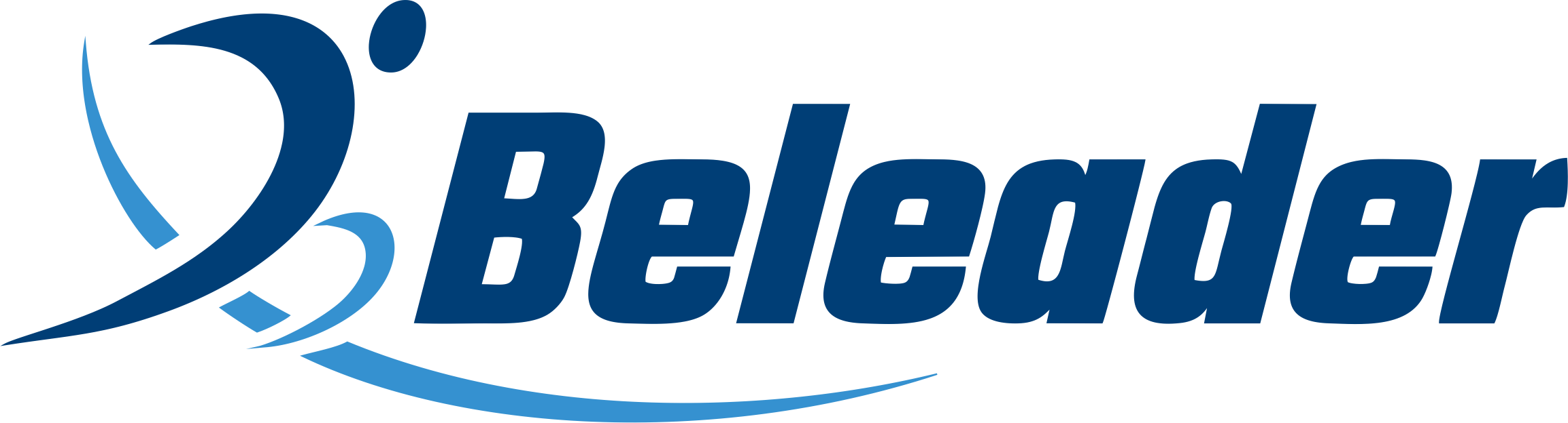 Wuhan Beleader Trading Co., Ltd. logo