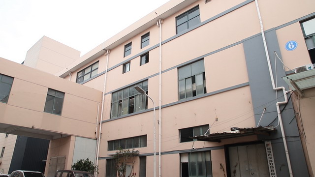 Linhai Tongze Lighting Co., Ltd. Solar string lights