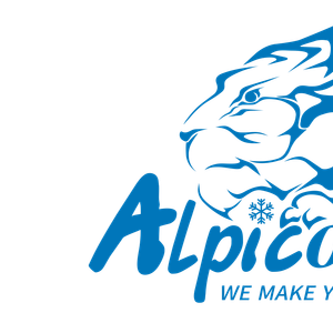 Company icon