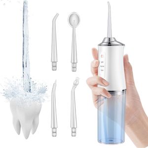 Home Travel Professional Portable Waterproof Dental Water Flosser Oral Irrigator for Teeth