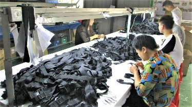 Guangzhou Whalesong Internation Co., Ltd. Ski Bag