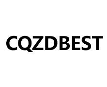 Chongqing Zhendao E-Commerce Co., Ltd. logo