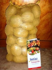 Imtiaz Enterprises Onion