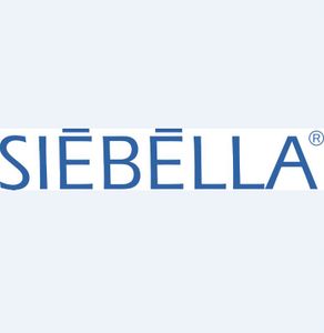 Company icon