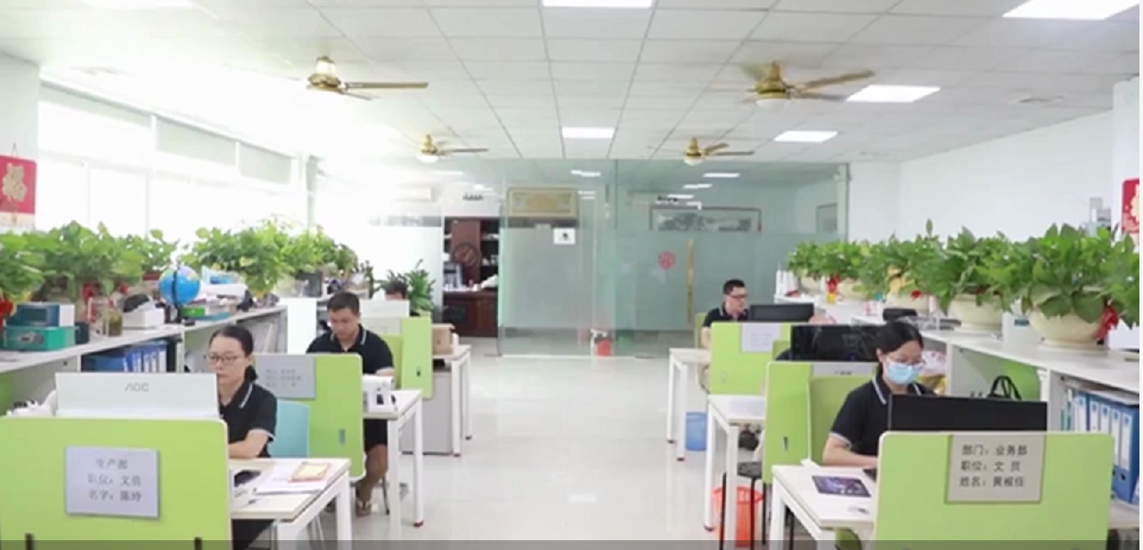 Shenzhen Kuleyo Technologies Co., Ltd. Wireless Laser Presenter