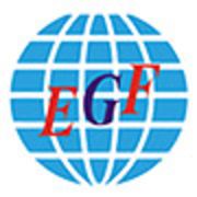 Company icon