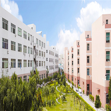 Dongguan Xuanli Electronics Co., Ltd. Lithium-ion battery
