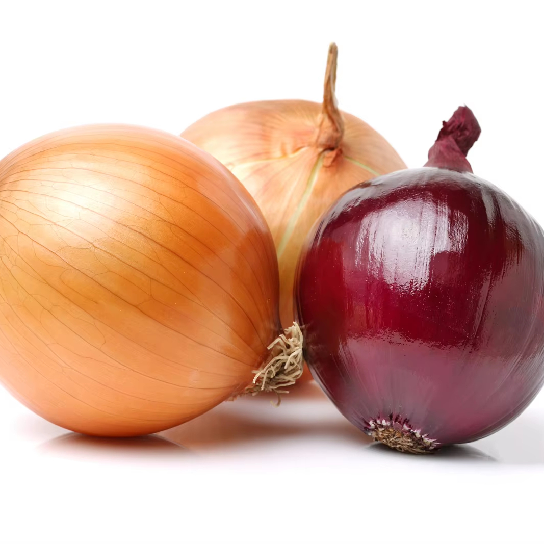 fresh vegetables  lower price fresh red/ yellow onion from China