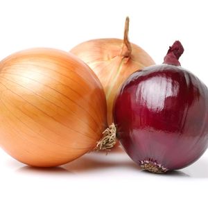 fresh vegetables  lower price fresh red/ yellow onion from China