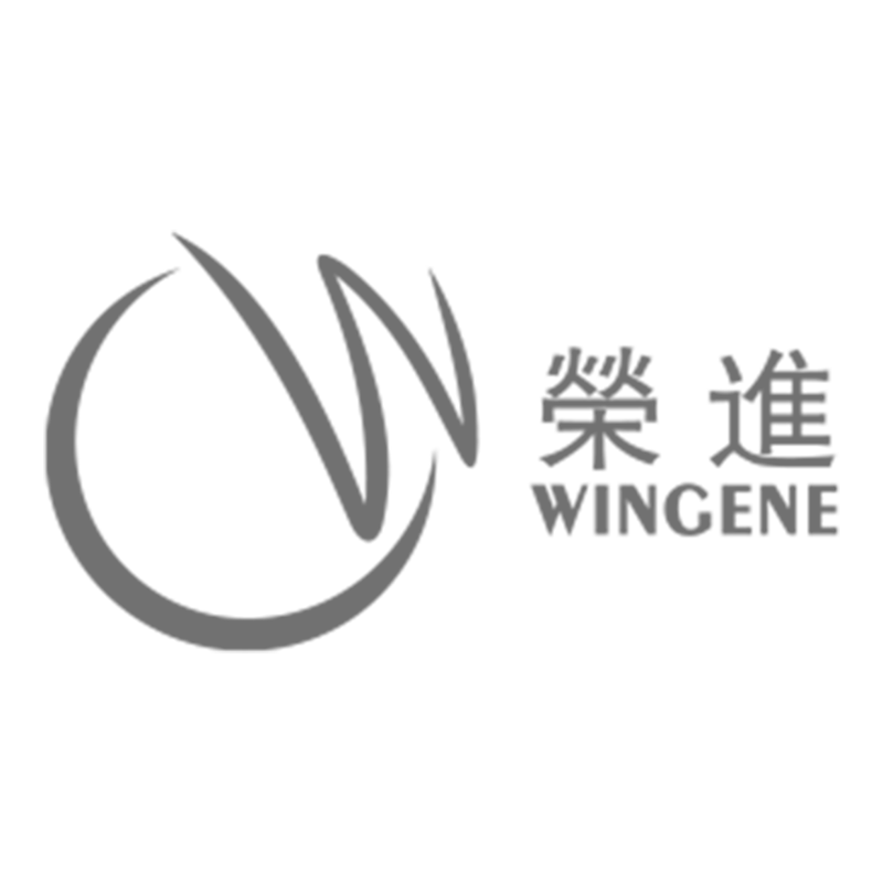 Shenzhen Wingene Electronic Development Co., Ltd. logo