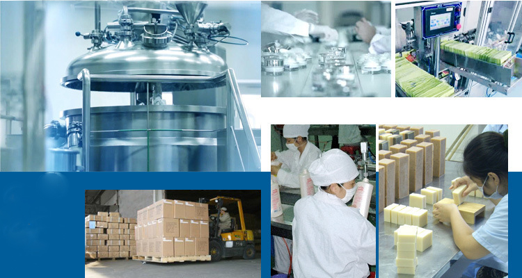 Henan Green Biological Technology Co., Ltd. Facial Mask