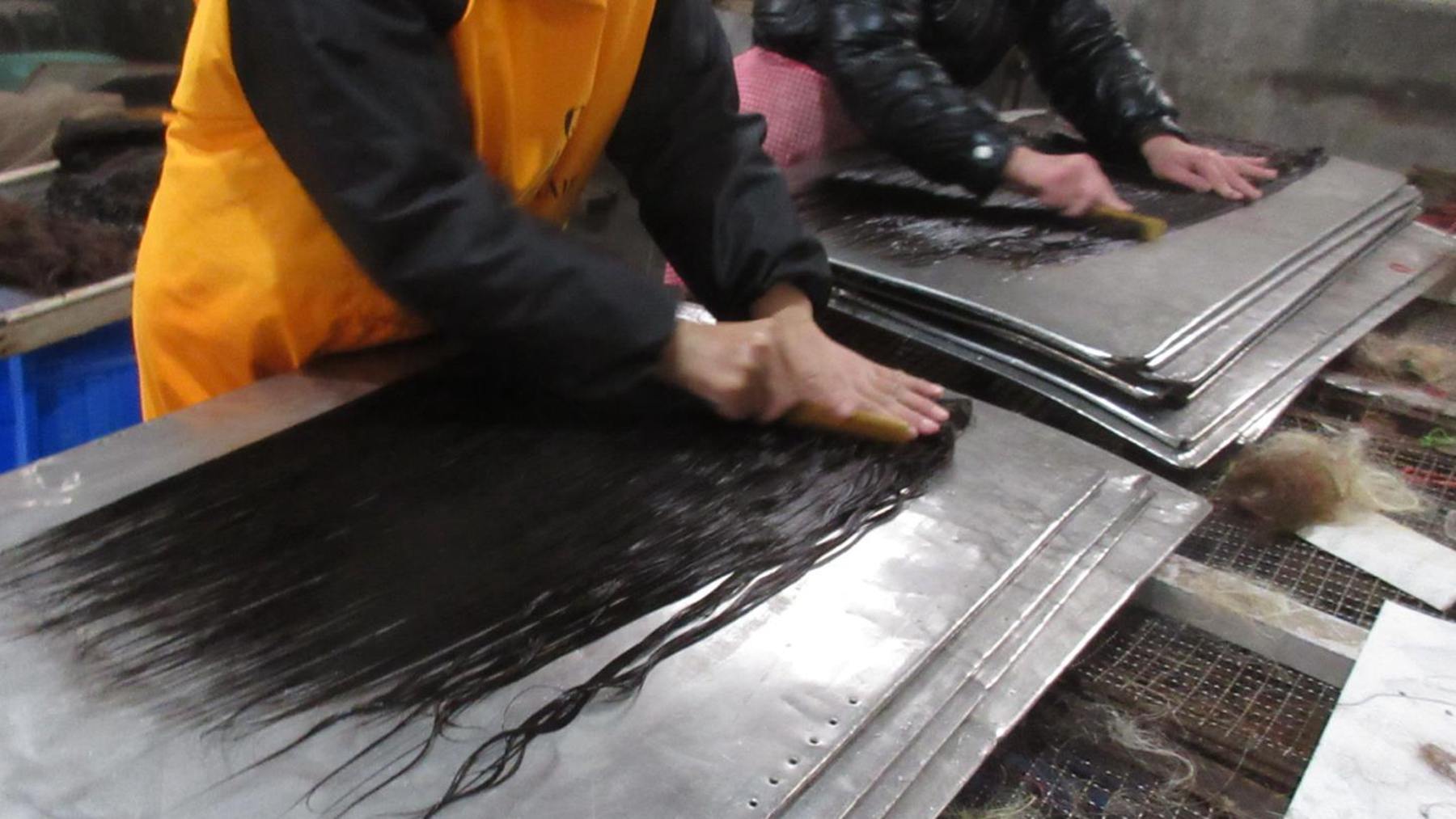 Henan Zhixu Technology Co., Ltd. human hair extensions