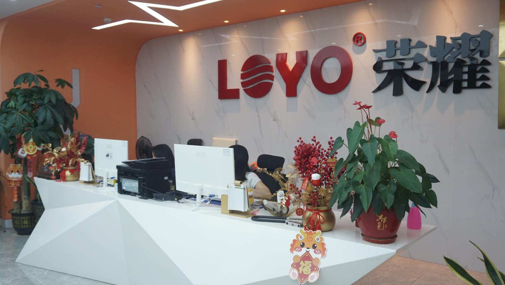 Guangzhou Loyo Electronic Technology Co., Ltd. motorcycle lights