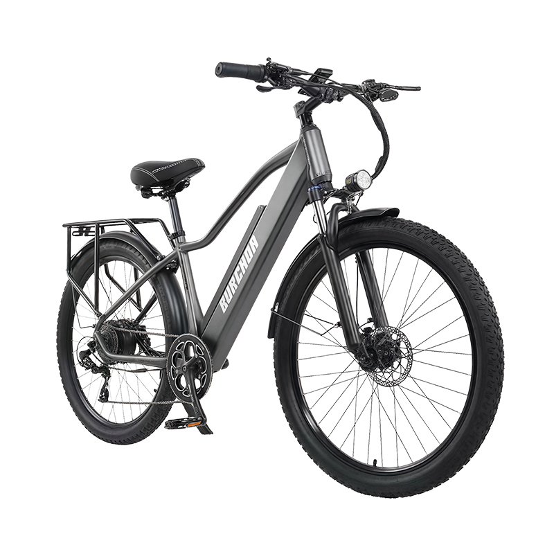Hebei Richden Automobile Trading Co., Ltd. EU Free Shipping Foldable Electric Powered Mountain Bike