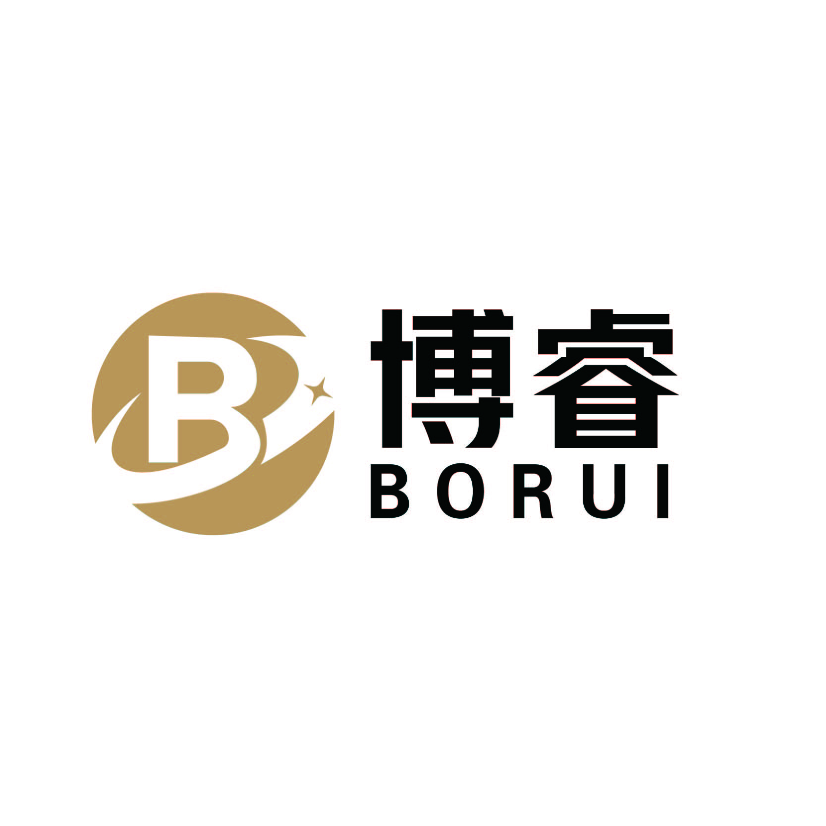 Dongguan Borui Plastic Technology Co., Ltd. logo