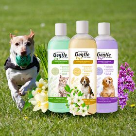 Pet Cat Dog Grooming Supplies Free Sample Oem Custom Logo Natural Grooming Supplies For Cat And Dog Pet Shampoo