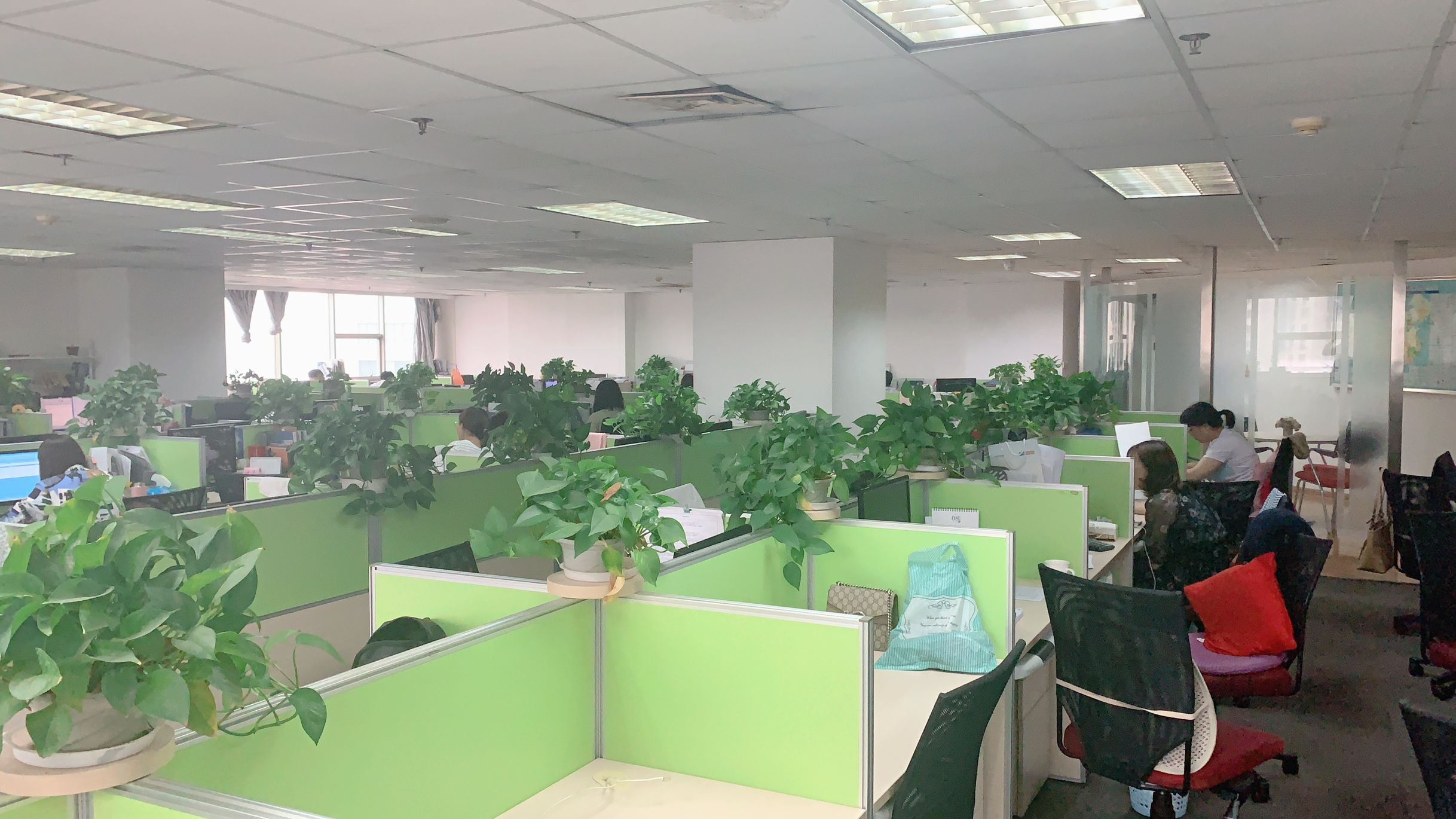 Qingdao Dongdingsheng Supply Chain Management Co., Ltd. Artificial Peony