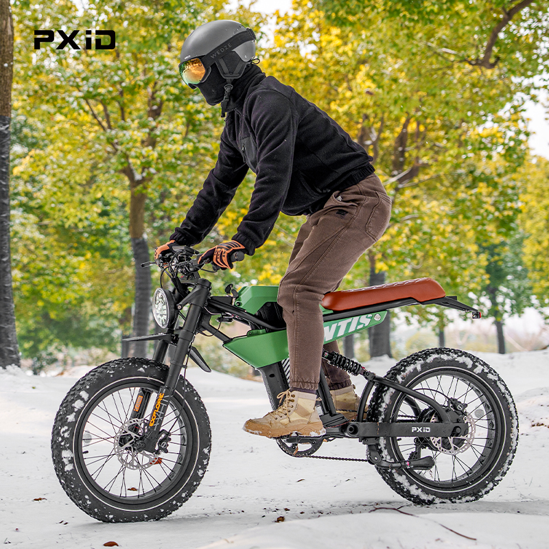 Huaian PX Intelligent Manufacturing Co., Ltd. Wholesale PXID MANTIS P6 ebike 48v 20ah 35ah electric bicycles 750w 1200w full suspension e bike for men