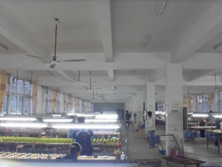 Quanzhou Dingxin Crafts Co., Limited Aquarium Decorations