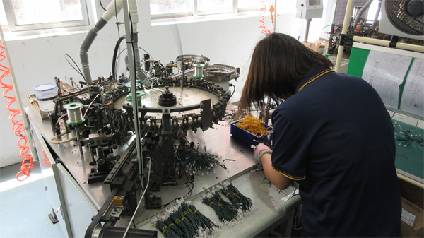 Zhangzhou Go Win Lighting Co., Ltd. LED decorative lights