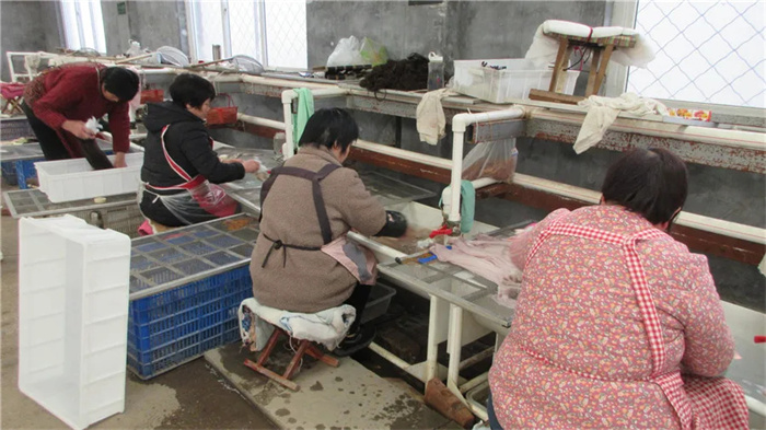 Qingdao Trade Assurance Hair Products Co., Ltd. Human Hair Closures