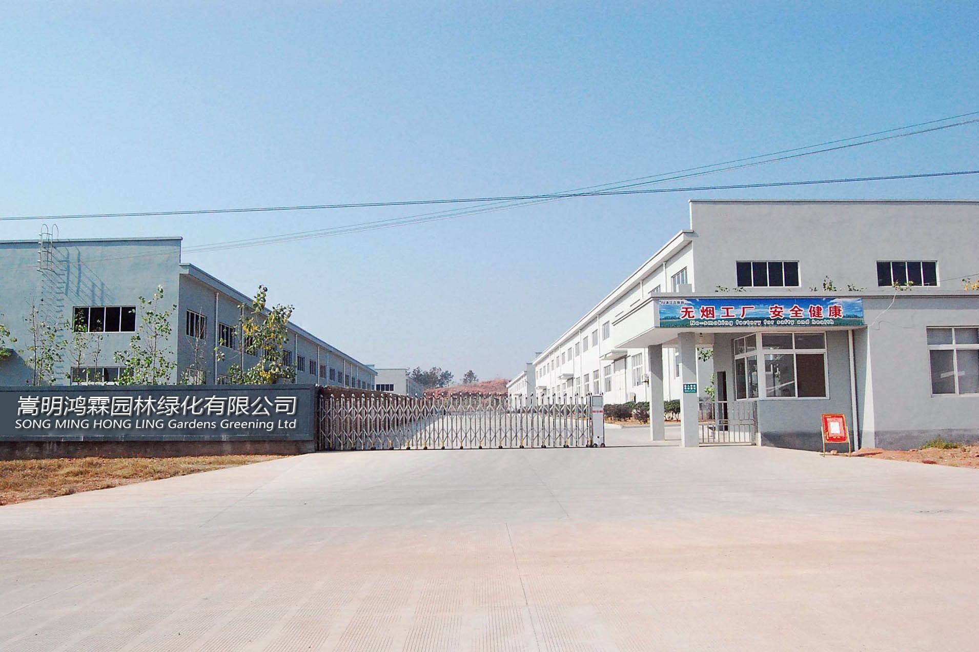 Yunnan Mingyue Flower Co., Ltd. factory image 1