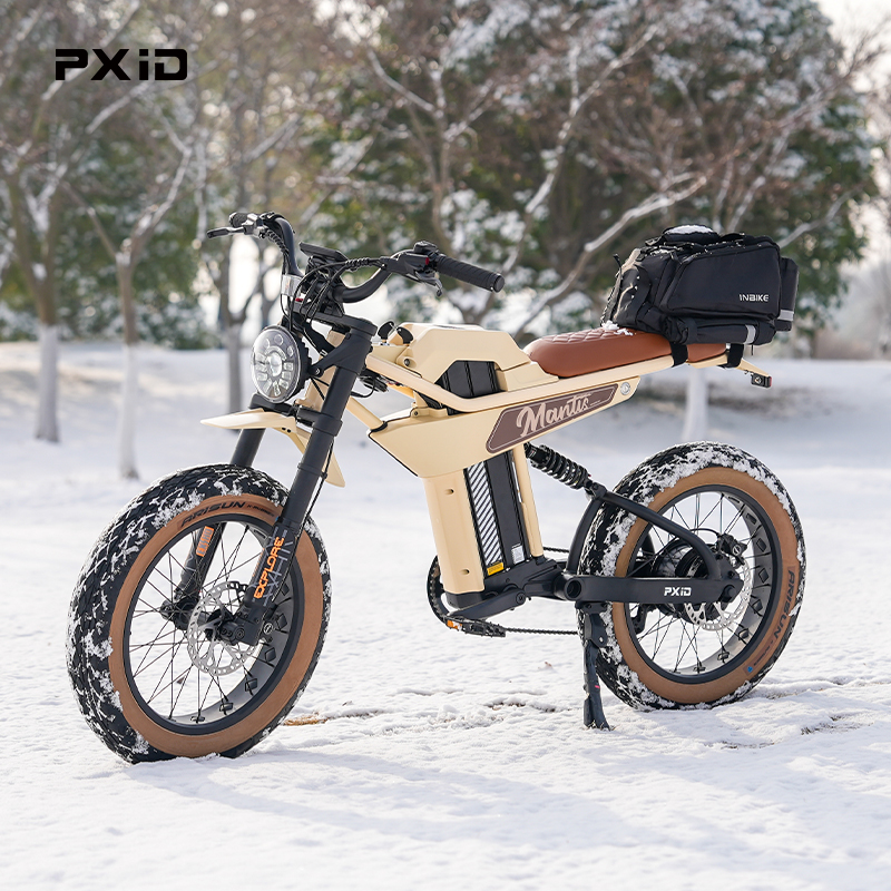 Huaian PX Intelligent Manufacturing Co., Ltd. PXID MANTIS P6 ebike mountain hybrid bike 750w 1500w all terrain electric bicycle