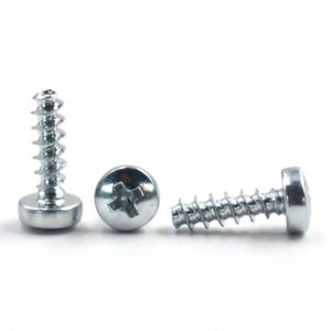 Factory Customized Phillips Pan Head Self Tapping SS Screw Pt Thread Forming Galvanized Screws For Plastic
